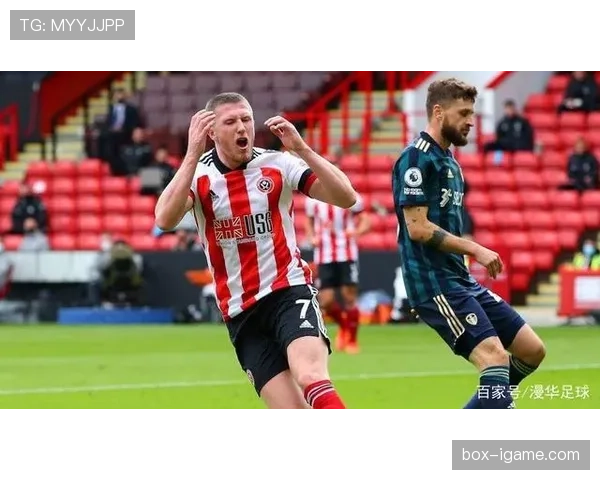 谢菲尔德联积极引援，新援成保级关键看点